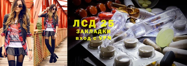 ГАЛЛЮЦИНОГЕННЫЕ ГРИБЫ Абинск