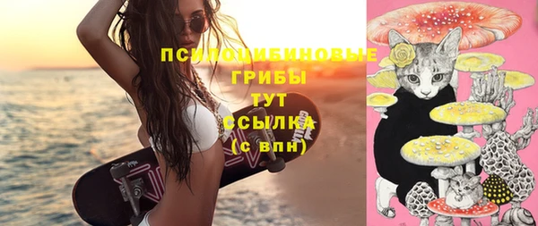 мяу мяу мука Алексин