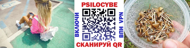 как найти наркотики  Златоуст  мега маркетплейс  Псилоцибиновые грибы Cubensis 